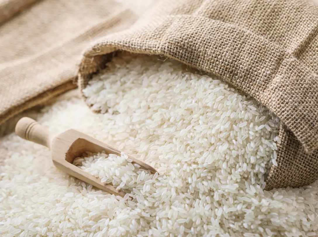 أسعار الأرز اليوم