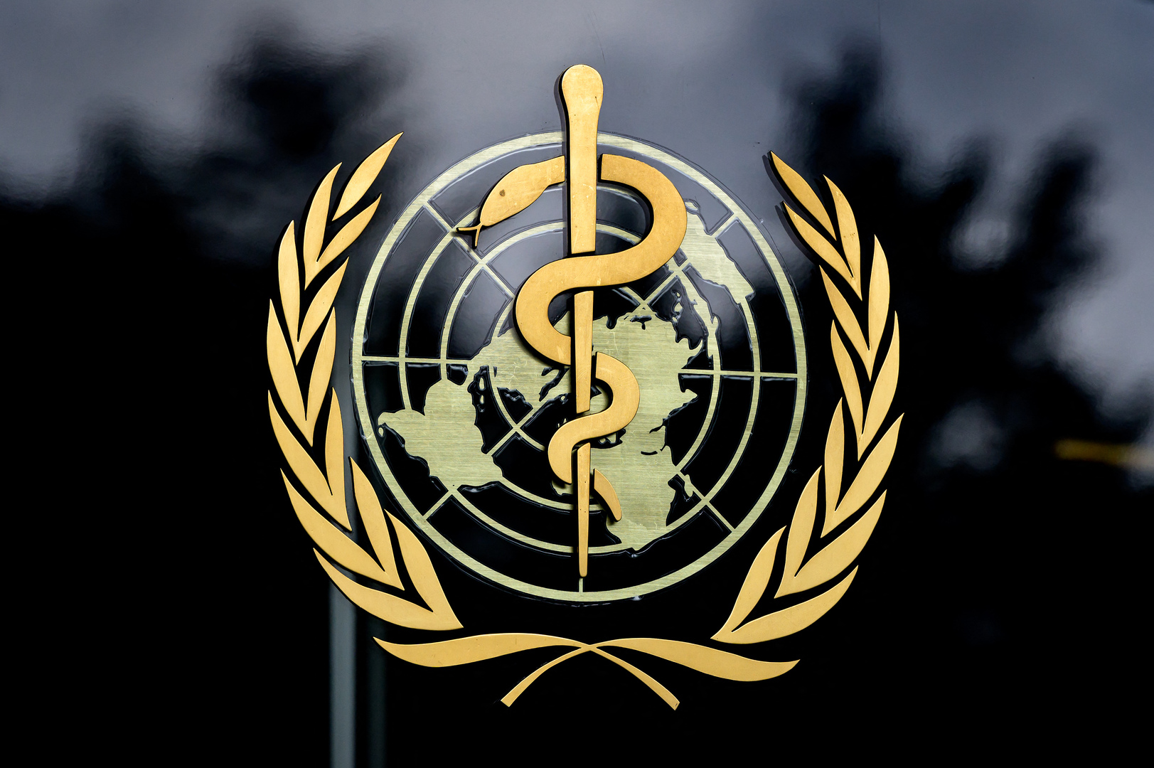منظمة الصحة عالمية