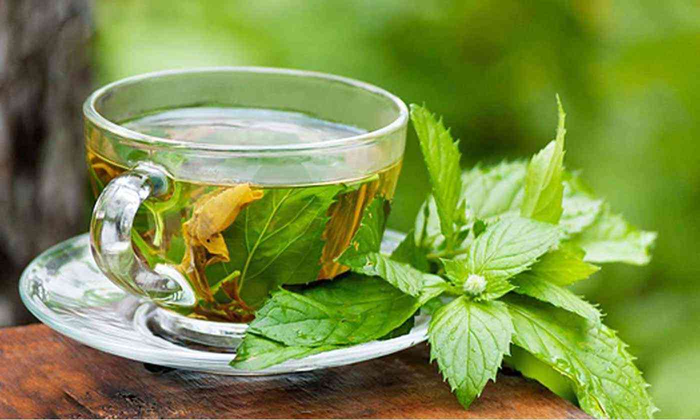 4 مشروبات طبيعية تحصّن المناعة.. تعرف عليها