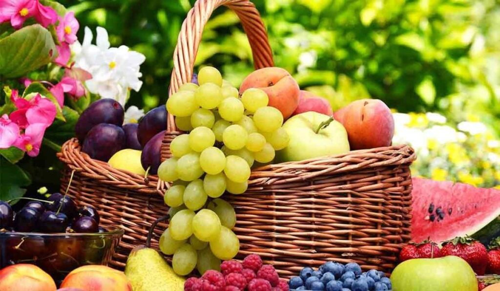 أسعار الفاكهة في سوق العبور اليوم الأحد 10 أغسطس 2025 أسعار الفاكهة في سوق العبور اليوم الأحد 10 أغسطس 2025