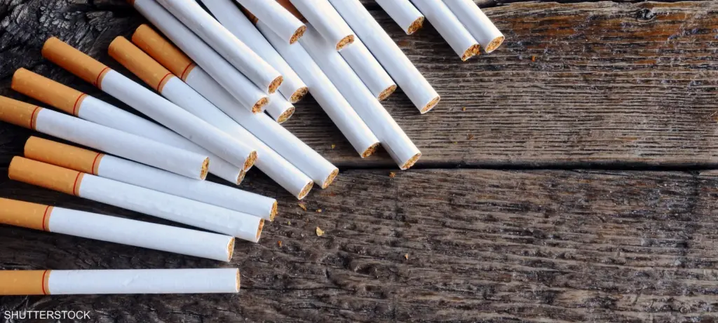 استقرار أسعار السجائر في مصر اليوم الإثنين 11 أغسطس 2025 بعد الزيادة الأخيرة