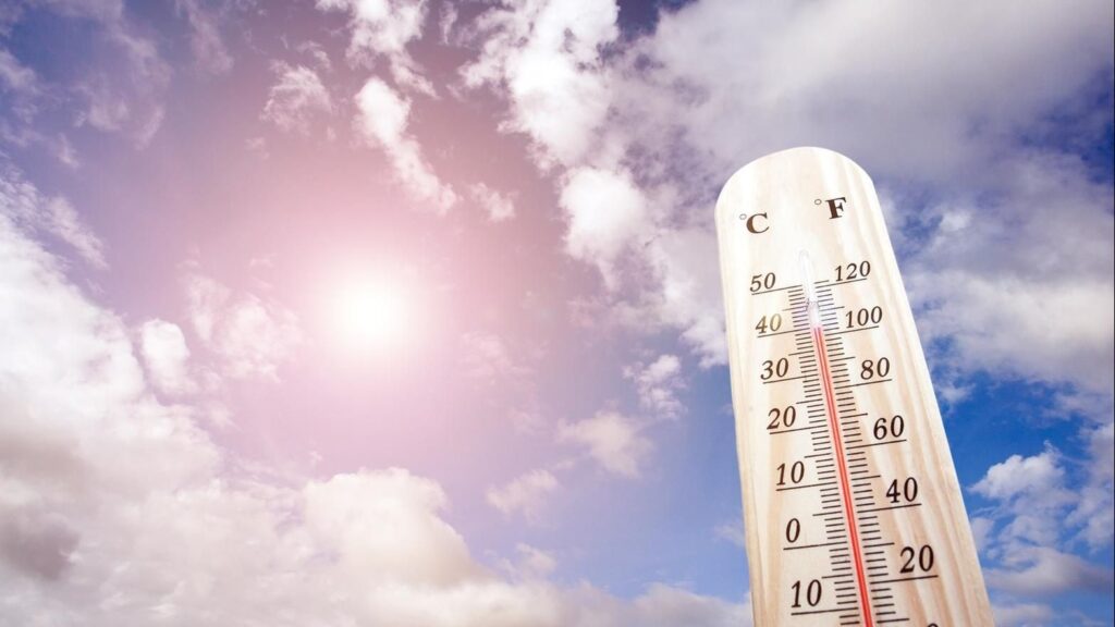 «تحذيرات الأرصاد: شبورة كثيفة وأمطار اليوم الأربعاء 5 نوفمبر 2025.. تعرف على تفاصيل حالة الطقس ودرجات الحرارة الآن»