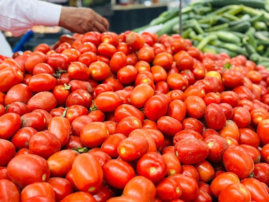 الطماطم بكام اليوم؟.. ارتفاع جديد يضرب الأسواق وسعر الكيلو يفاجئ المواطنين الطماطم بكام اليوم؟.. ارتفاع جديد يضرب الأسواق وسعر الكيلو يفاجئ المواطنين