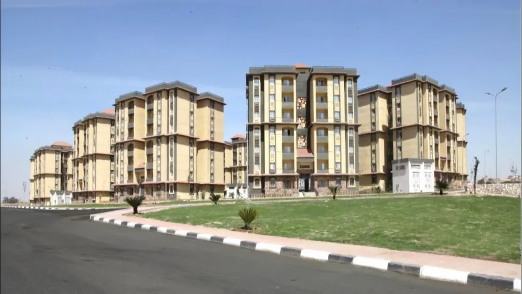 مسودة تلقائية