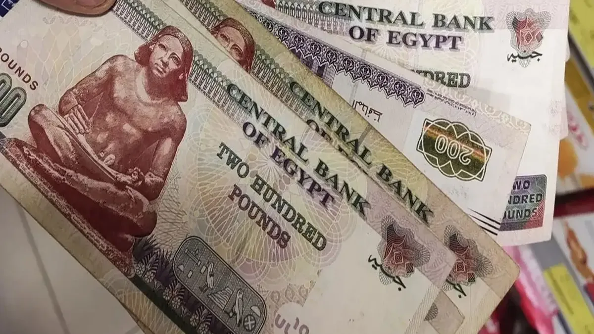 22% عائد سنويًا.. تفاصيل شهادات الادخار الأعلى عائدًا في البنوك