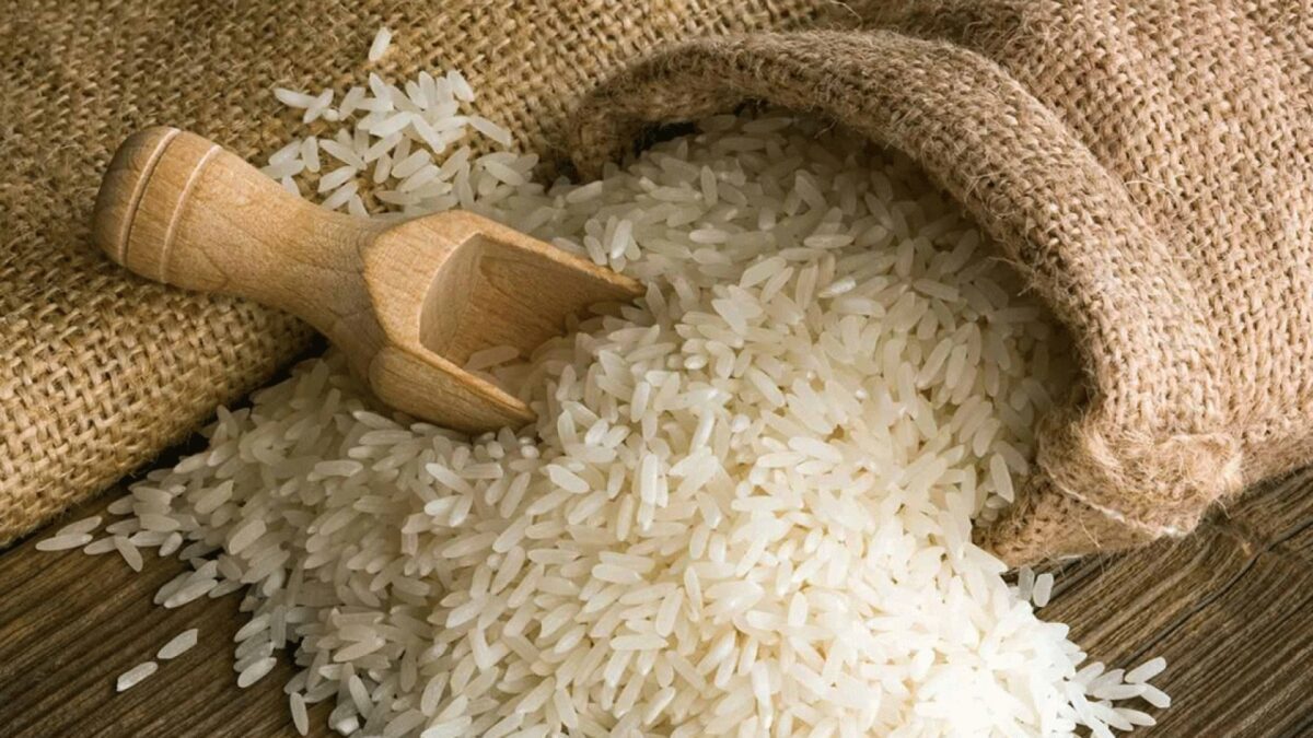 طن الأرز بكام؟..أسعار الأرز الشعير والأبيض اليوم الاثنين 19 أكتوبر 2026 في الأسواق